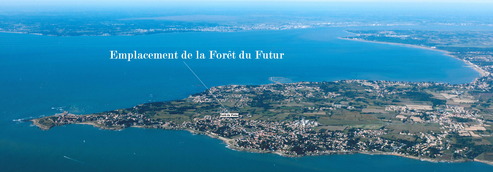 Votez pour la petite forêt du futur